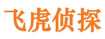 融安市私家侦探